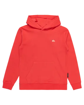 Boys Basic Hoodie in Cayenne