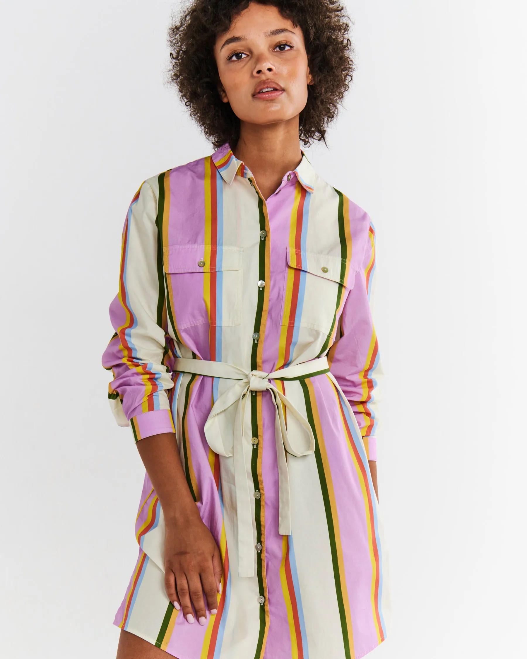 Fez Stripe Adult Sicilian Shirt Dress