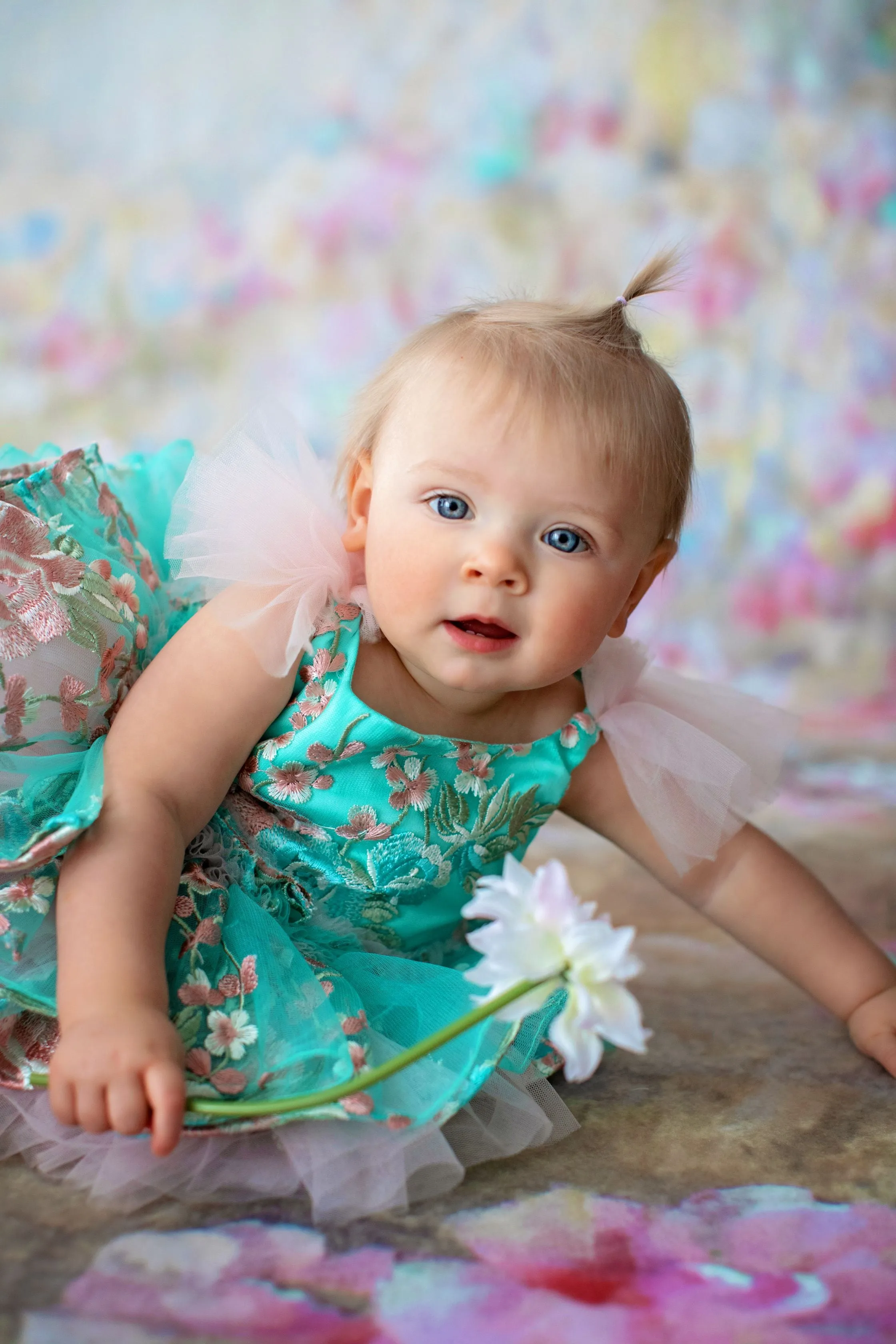 New condition "Cora" Petal Length Dress ( 8 month - Petite 12 month) with bloomers