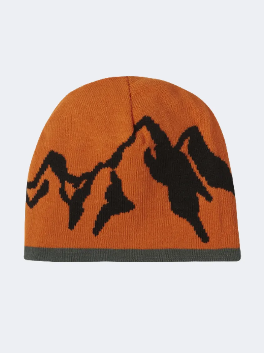 O&#39;Neil Reversible Boys Skiing Beanie Balsam Green