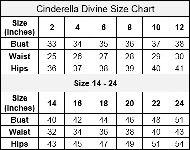 Plus Size Pleated Bell Sleeve Gown by Cinderella Divine CD242C