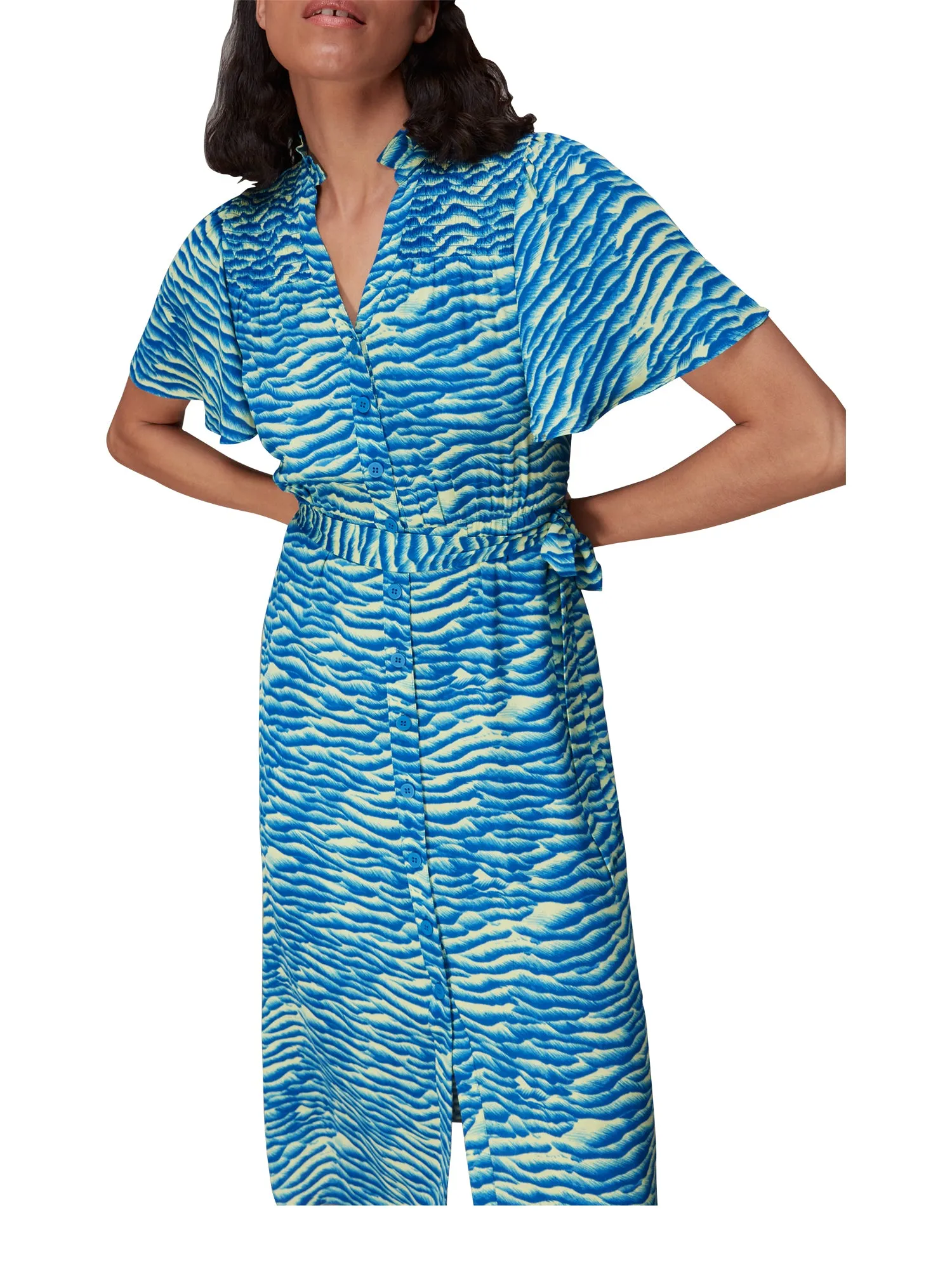 Seafoam Zebra Midi Dress